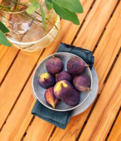 Dehner Aluminium-Lounge Malibu, 2-teilig 19 Dehner Aluminium-Lounge Malibu, 2-teilig -Optimal Gartenmöbel Geschäft 4209870 WE DE 006 LoungeMalibuNEU