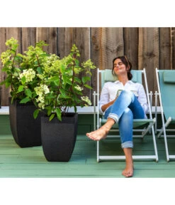 Dehner Strandstuhl Aruba -Optimal Gartenmöbel Geschäft 4418422 WE MO 002 StrandstuhlArubaNeu