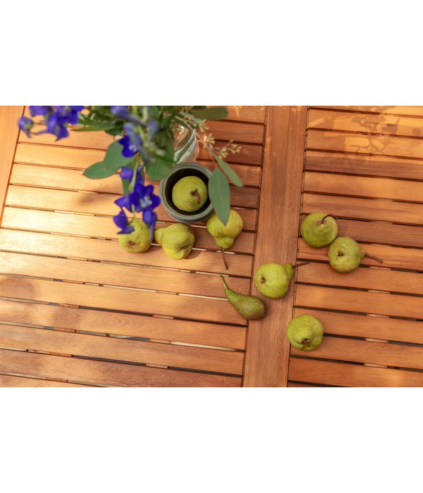 Dehner Klapptisch Tegernsee 5 Dehner Klapptisch Tegernsee – Bild 3